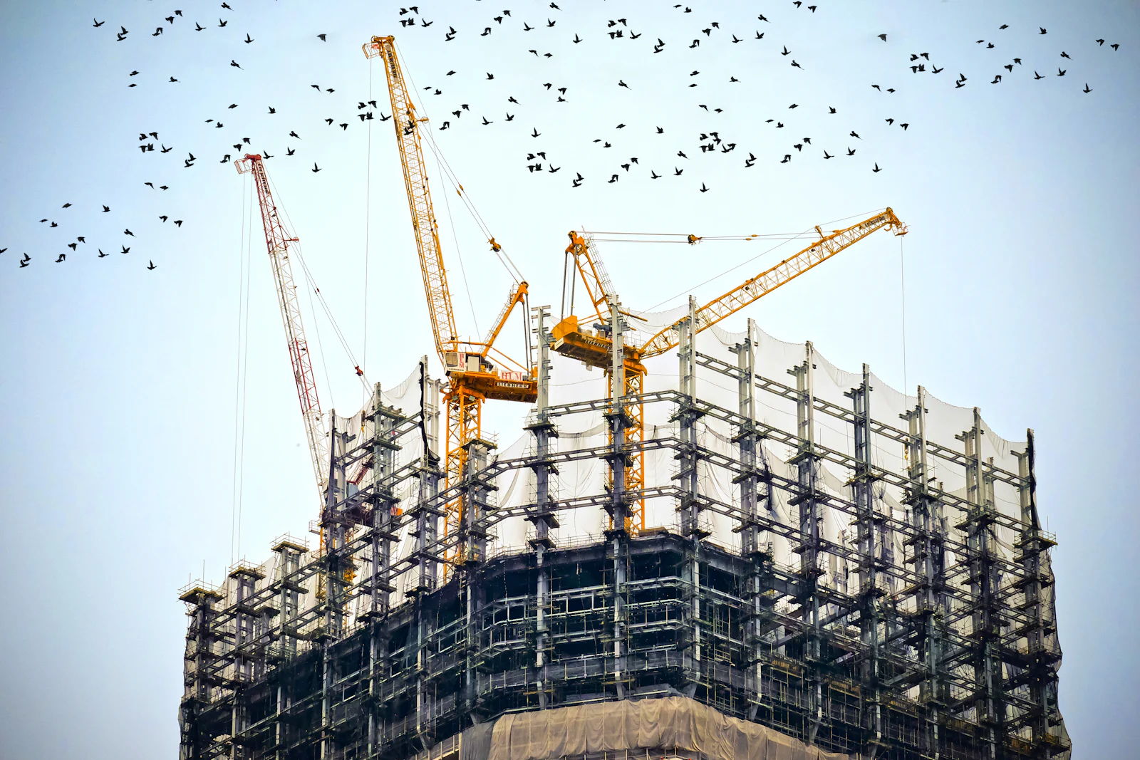 Tower cranes above a high-rise structure under construction